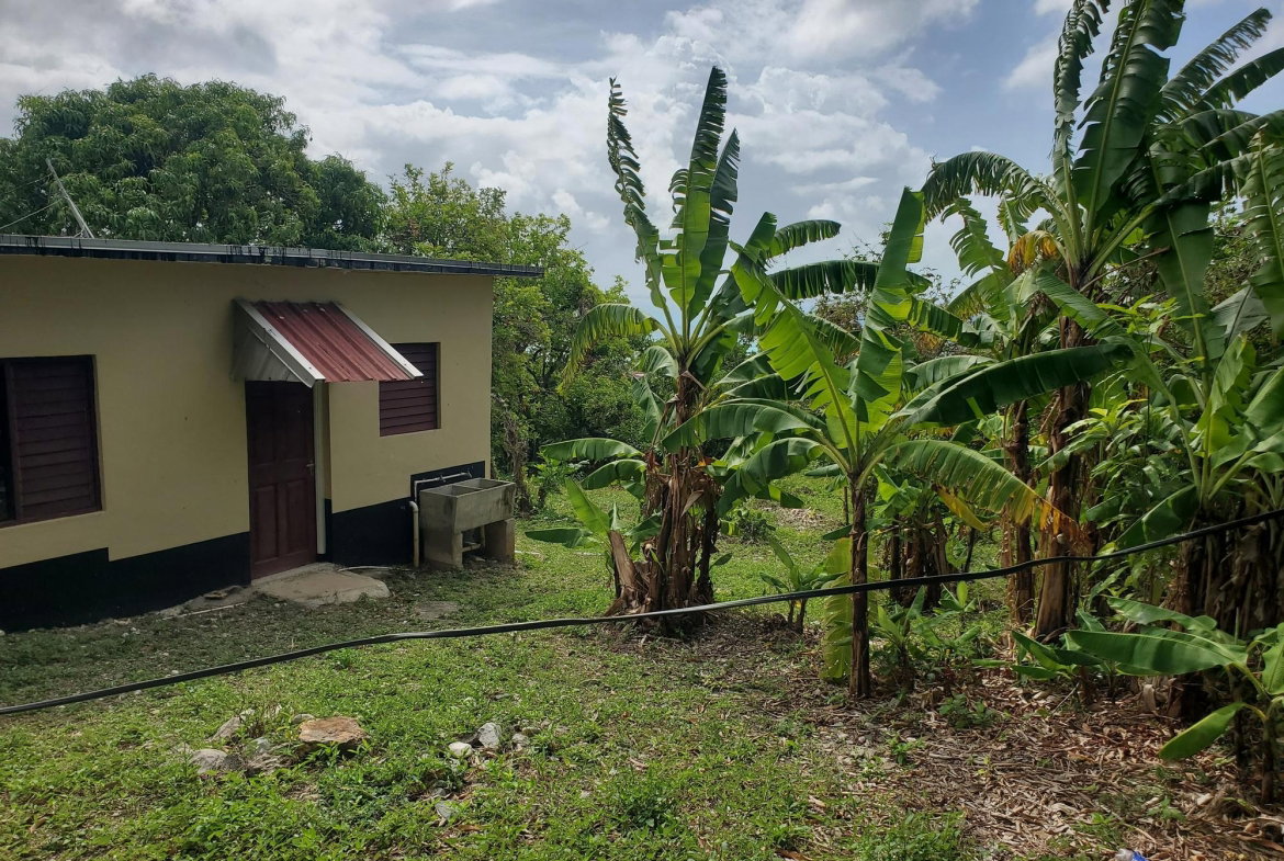 Fifth image of White Horses in WHITE HORSES, St. Thomas, Jamaica - property is For Sale