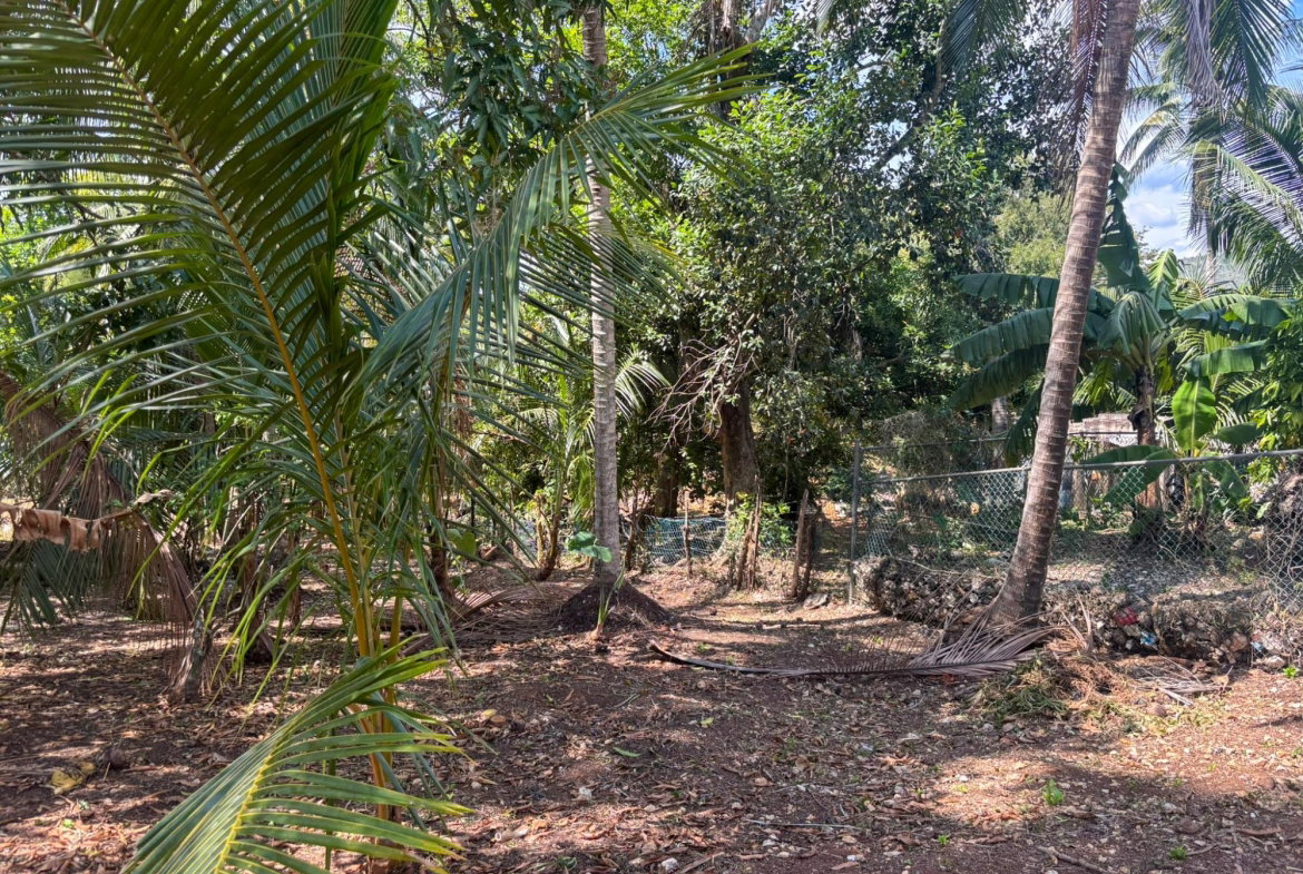 Sixteenth image of Ellis Street, Porus in Porus, Manchester, Jamaica - property is For Sale