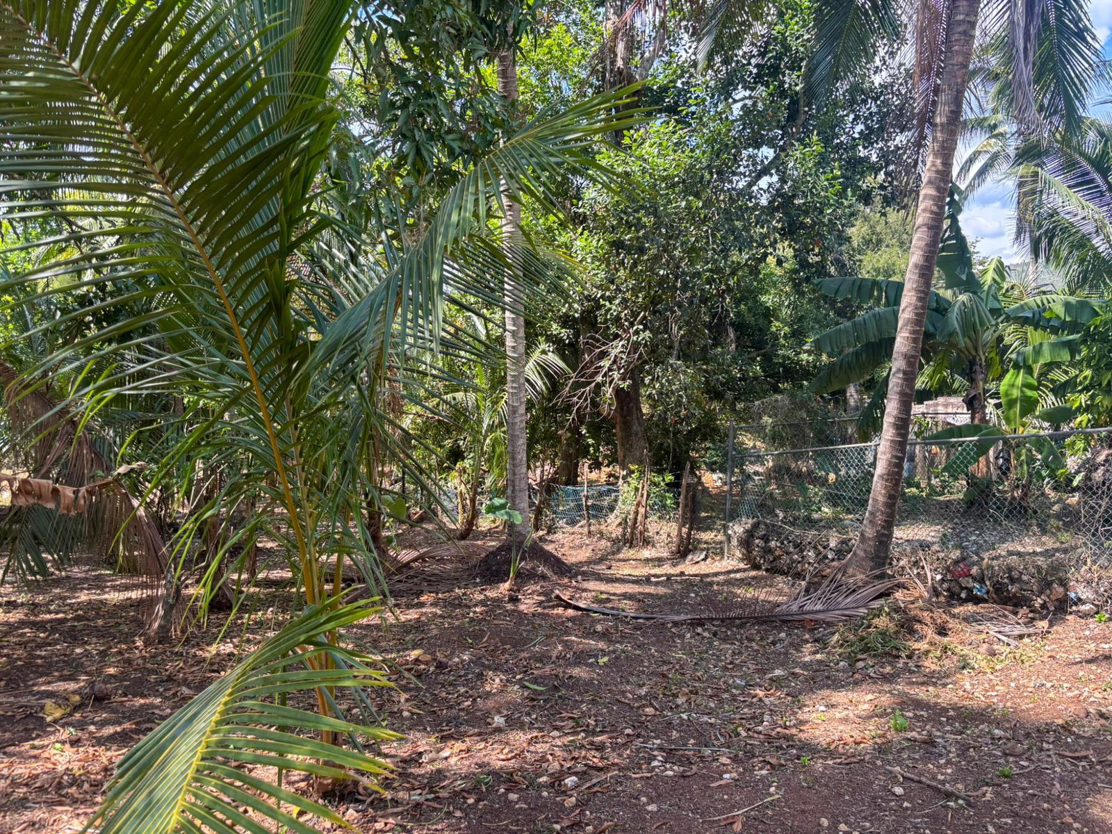 Charming-3-Bed-Split-Level-on-34-Acre-in-Porus-Manchester-Ellis-Street Sixteenth image of Ellis Street, Porus in Porus, Manchester, Jamaica - property is For Sale