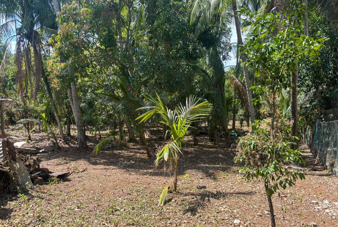 Eighteenth image of Ellis Street, Porus in Porus, Manchester, Jamaica - property is For Sale