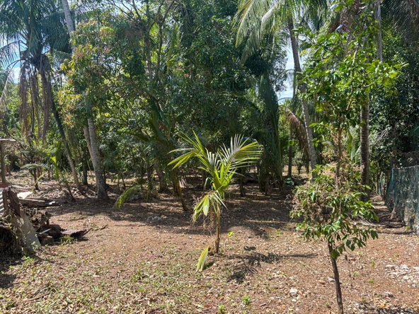 Eighteenth image of Ellis Street, Porus in Porus, Manchester, Jamaica - property is For Sale