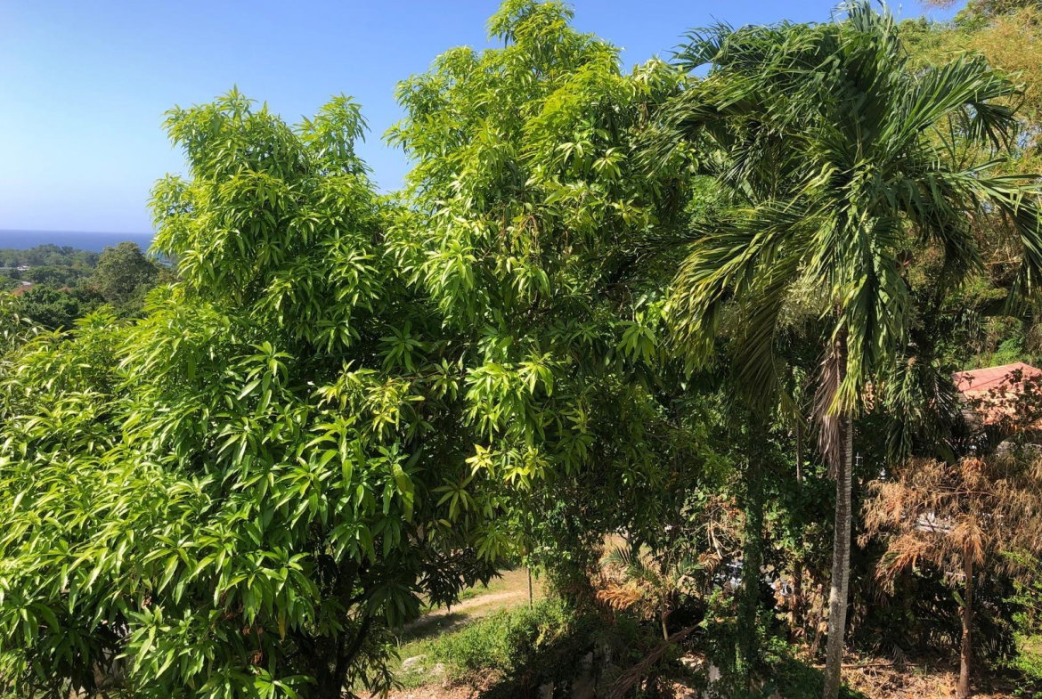 Seventh image of 26- Eltham Close in Ocho Rios, St. Ann, Jamaica - property is For Rent