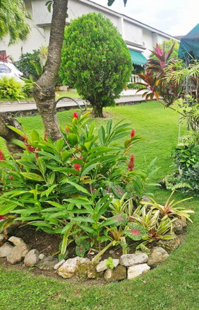 Fifteenth image of D1-29 - 31 Norbrook Drive in Kingston 8, St. Andrew, Jamaica - property is For Sale