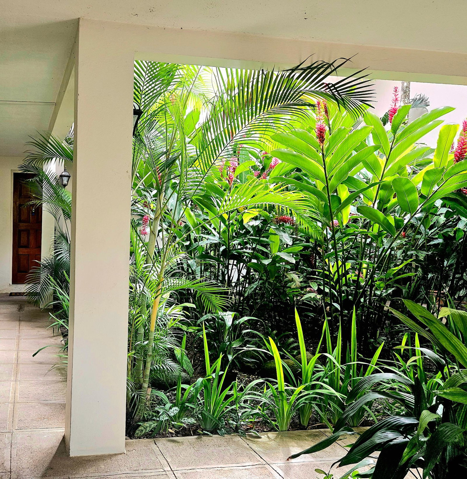 Seventeenth image of D1-29 - 31 Norbrook Drive in Kingston 8, St. Andrew, Jamaica - property is For Sale