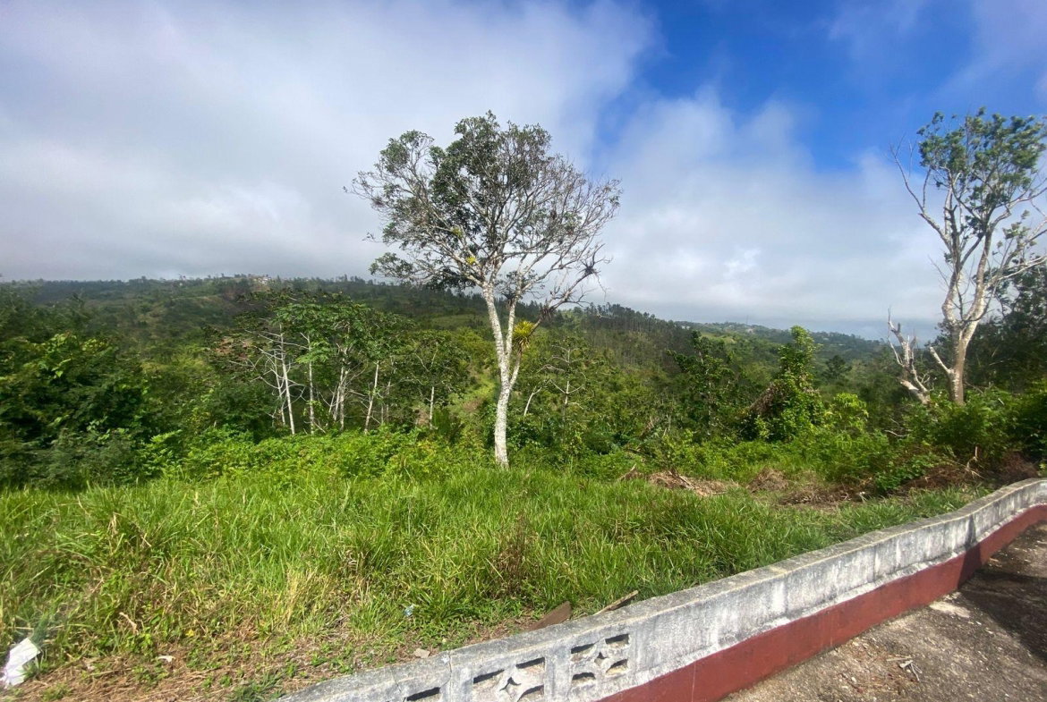 Thirteenth image of Lower Christiana Manchest in Christiana, Manchester, Jamaica - property is For Sale