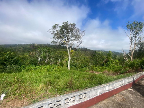 Thirteenth image of Lower Christiana Manchest in Christiana, Manchester, Jamaica - property is For Sale