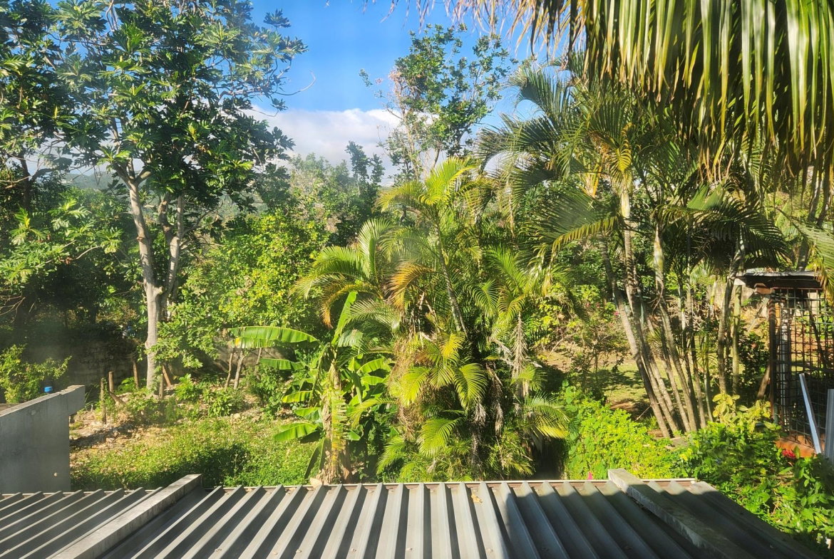 Twenty-Ninth image of 4- Pinewood Drive in Kingston 19, St. Andrew, Jamaica - property is For Sale