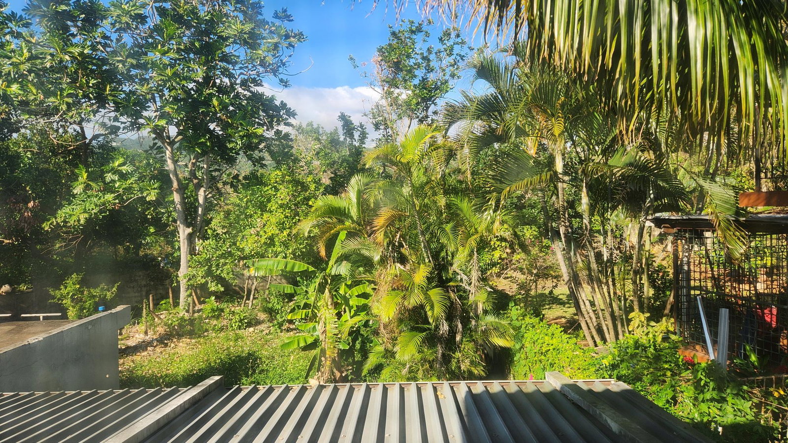 Charming-5-Bedroom-House-for-Sale-in-Plantation-Springs-St.-Andrew-Jamaica Twenty-Ninth image of 4- Pinewood Drive in Kingston 19, St. Andrew, Jamaica - property is For Sale