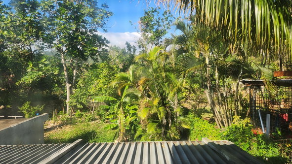 Twenty-Ninth image of 4- Pinewood Drive in Kingston 19, St. Andrew, Jamaica - property is For Sale