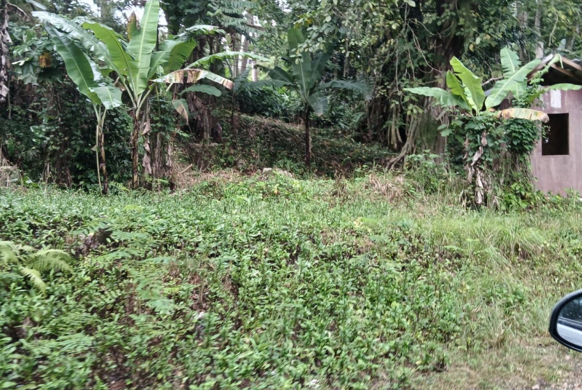 First image of Ulster Spring in Ulster Spring, Trelawny, Jamaica - property is For Sale