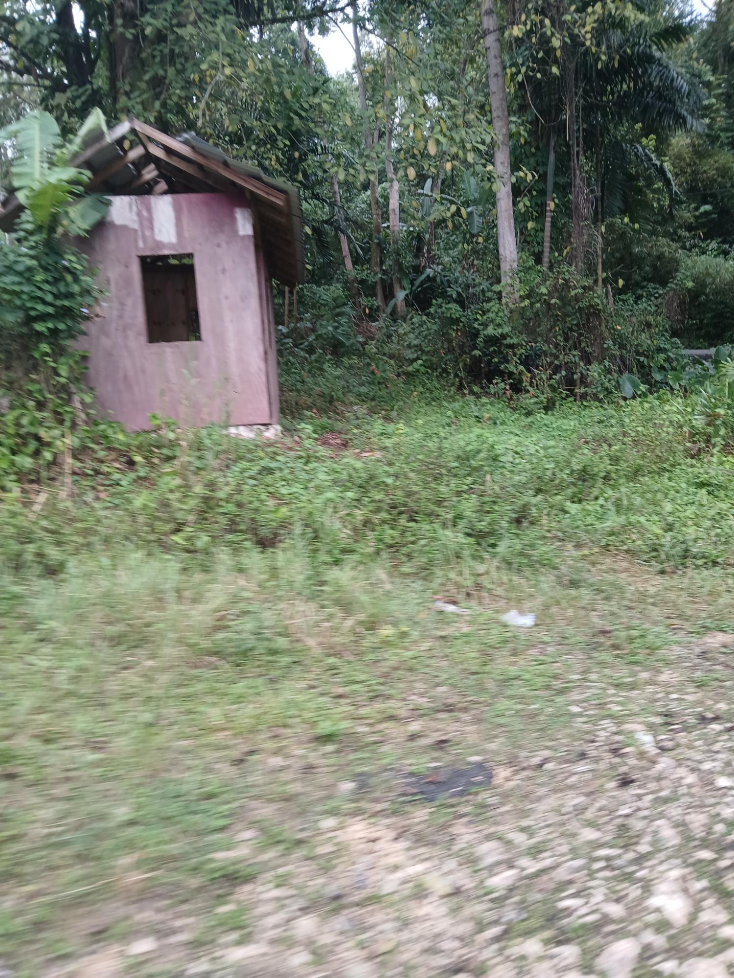 Third image of Ulster Spring in Ulster Spring, Trelawny, Jamaica - property is For Sale