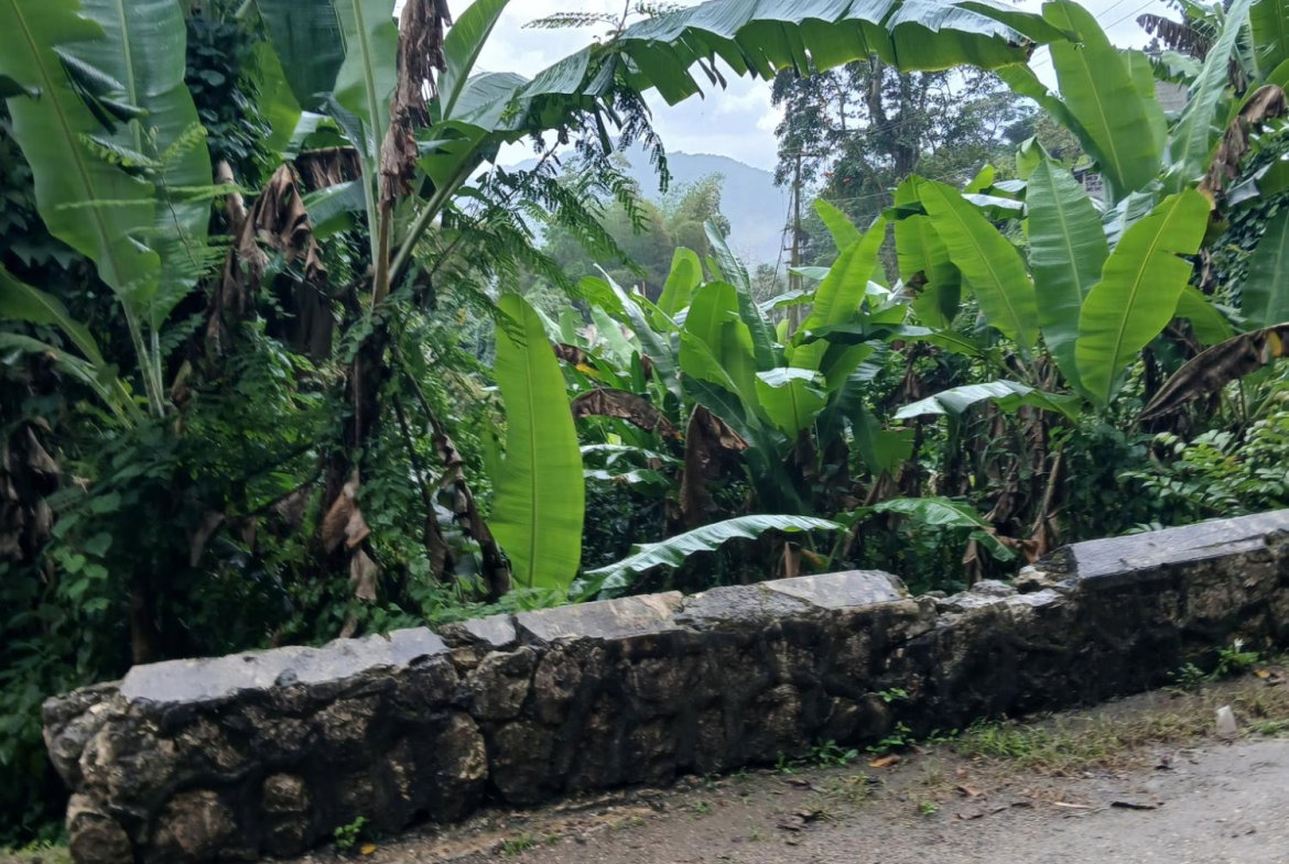 Fourth image of Ulster Spring in Ulster Spring, Trelawny, Jamaica - property is For Sale
