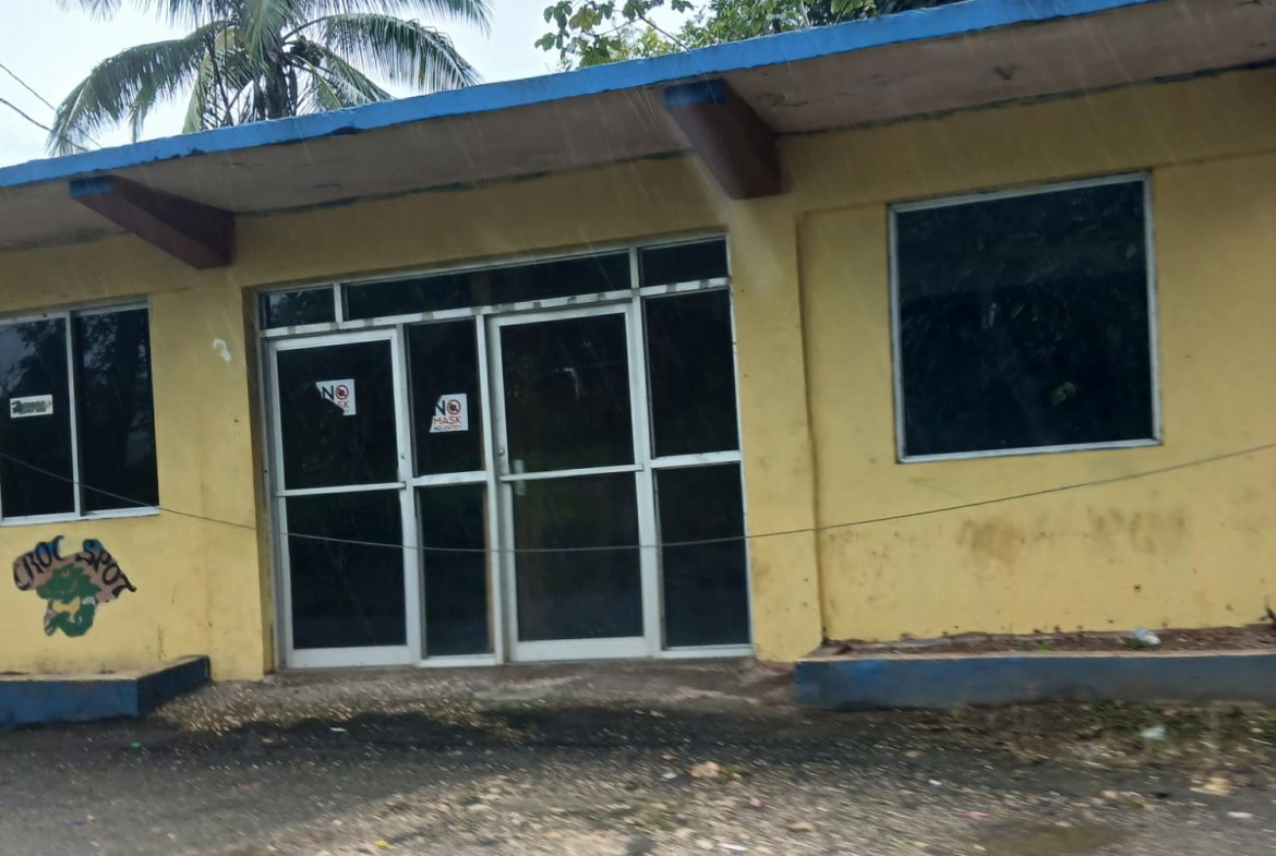 Sixth image of Ulster Spring in Ulster Spring, Trelawny, Jamaica - property is For Sale