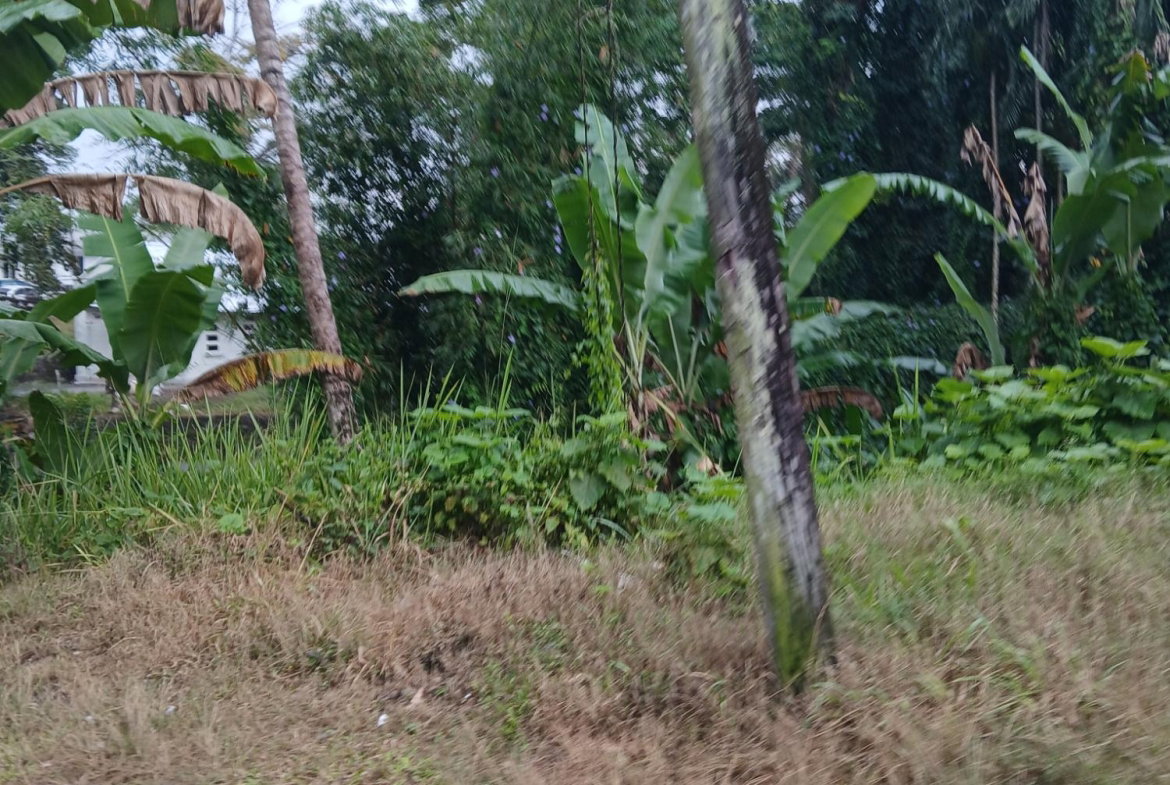 Eighth image of Ulster Spring in Ulster Spring, Trelawny, Jamaica - property is For Sale