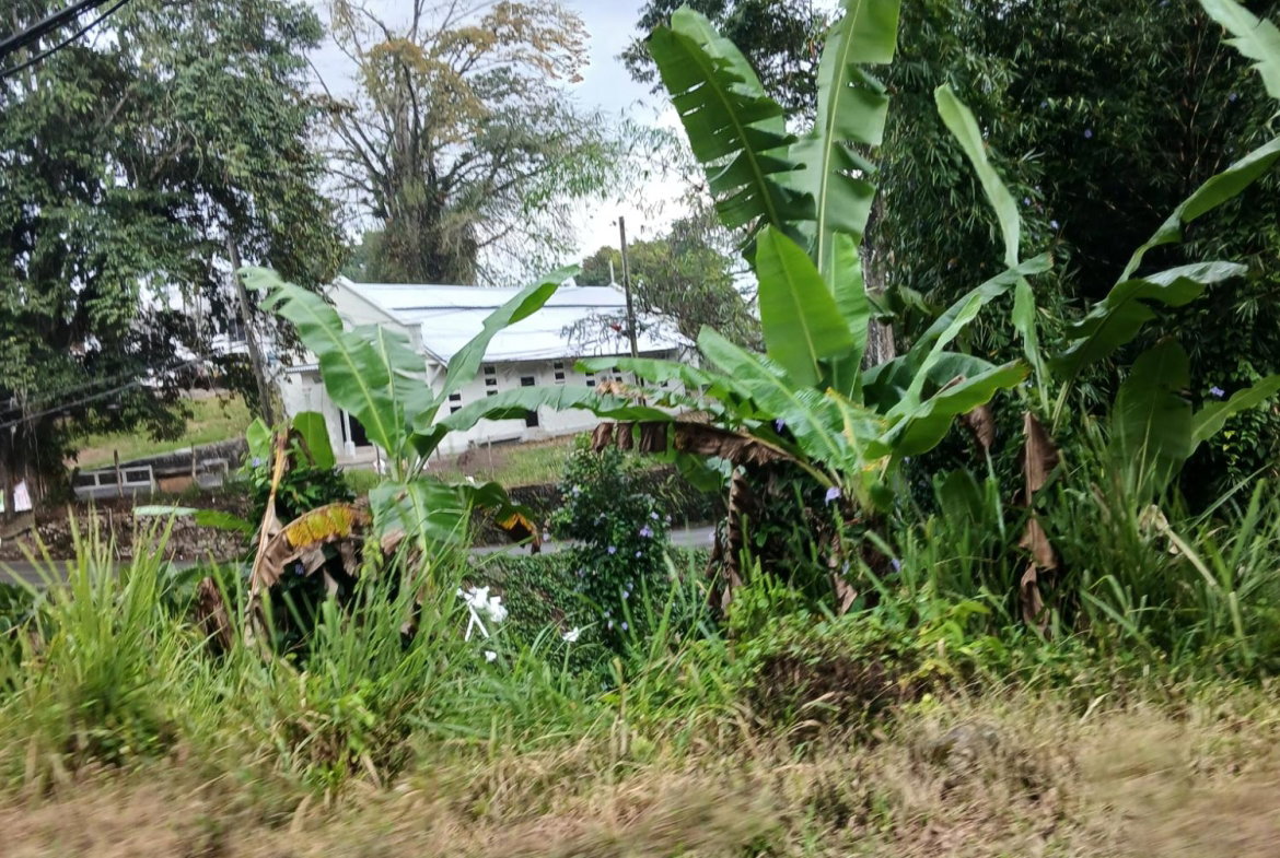Ninth image of Ulster Spring in Ulster Spring, Trelawny, Jamaica - property is For Sale