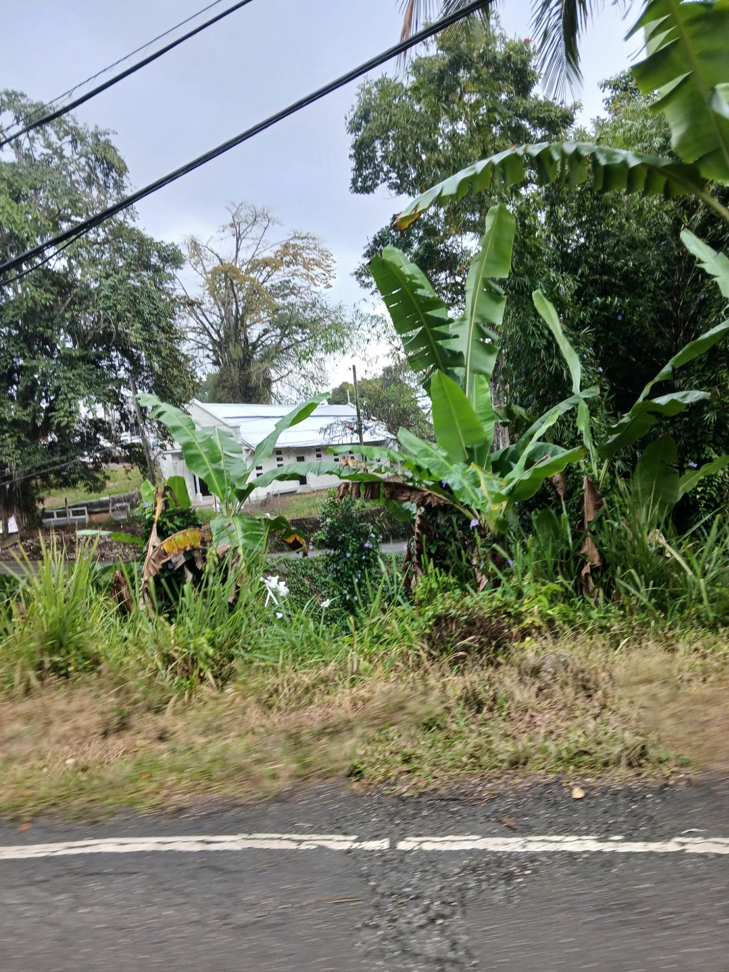 Ninth image of Ulster Spring in Ulster Spring, Trelawny, Jamaica - property is For Sale