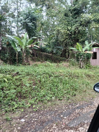 First image of Ulster Spring in Ulster Spring, Trelawny, Jamaica - property is For Sale