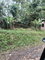 First image of Ulster Spring in Ulster Spring, Trelawny, Jamaica - property is For Sale