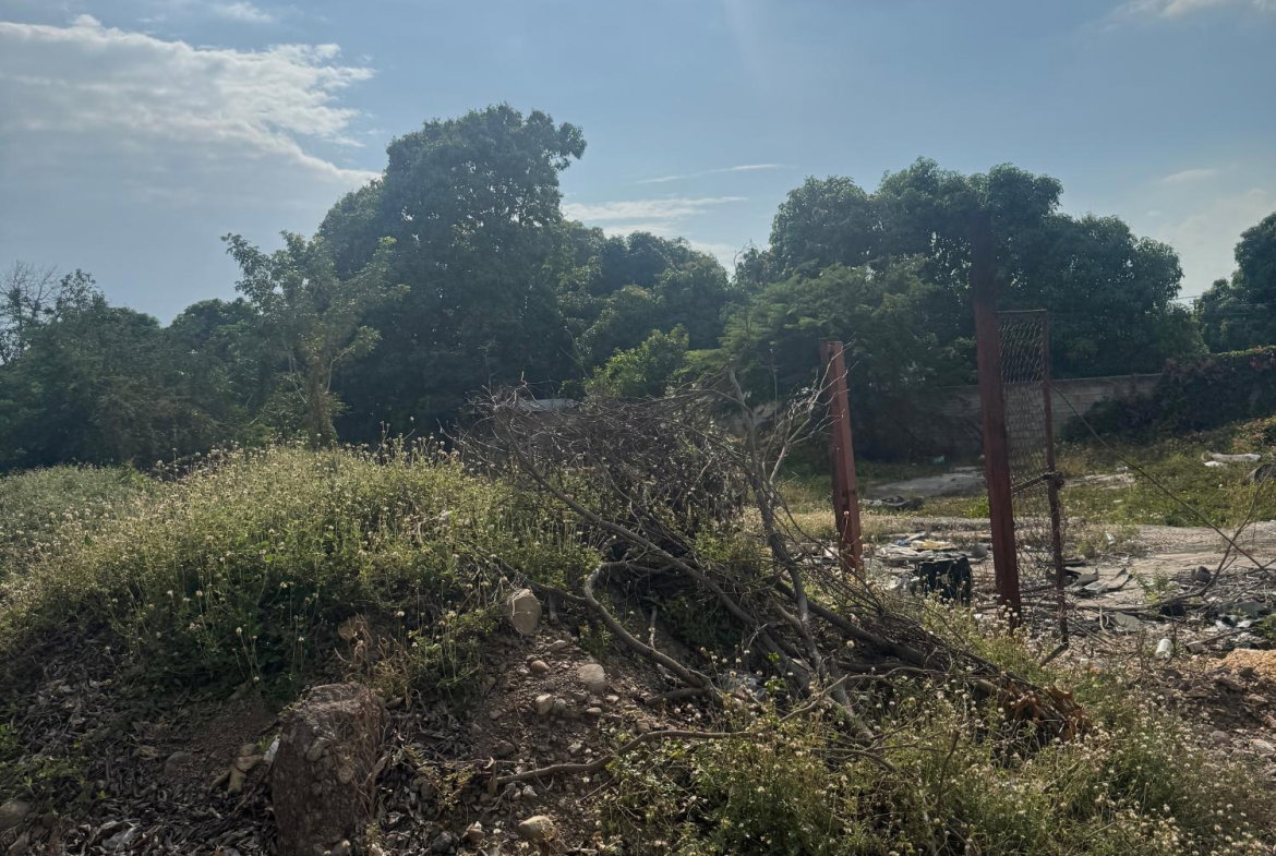 Fifth image of Lot 5, 8 Stanton Terrace in Kingston 6, St. Andrew, Jamaica - property is For Rent