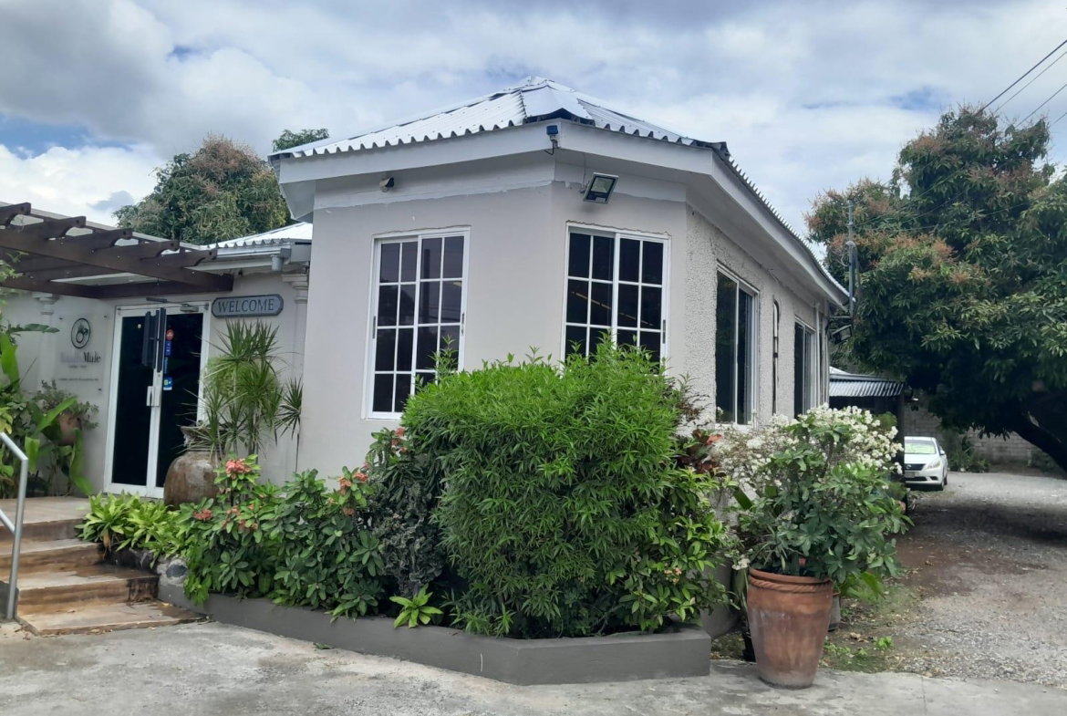 Fourth image of 7 Windsor Avenue, Kingston in Kingston 5, St. Andrew, Jamaica - property is For Rent