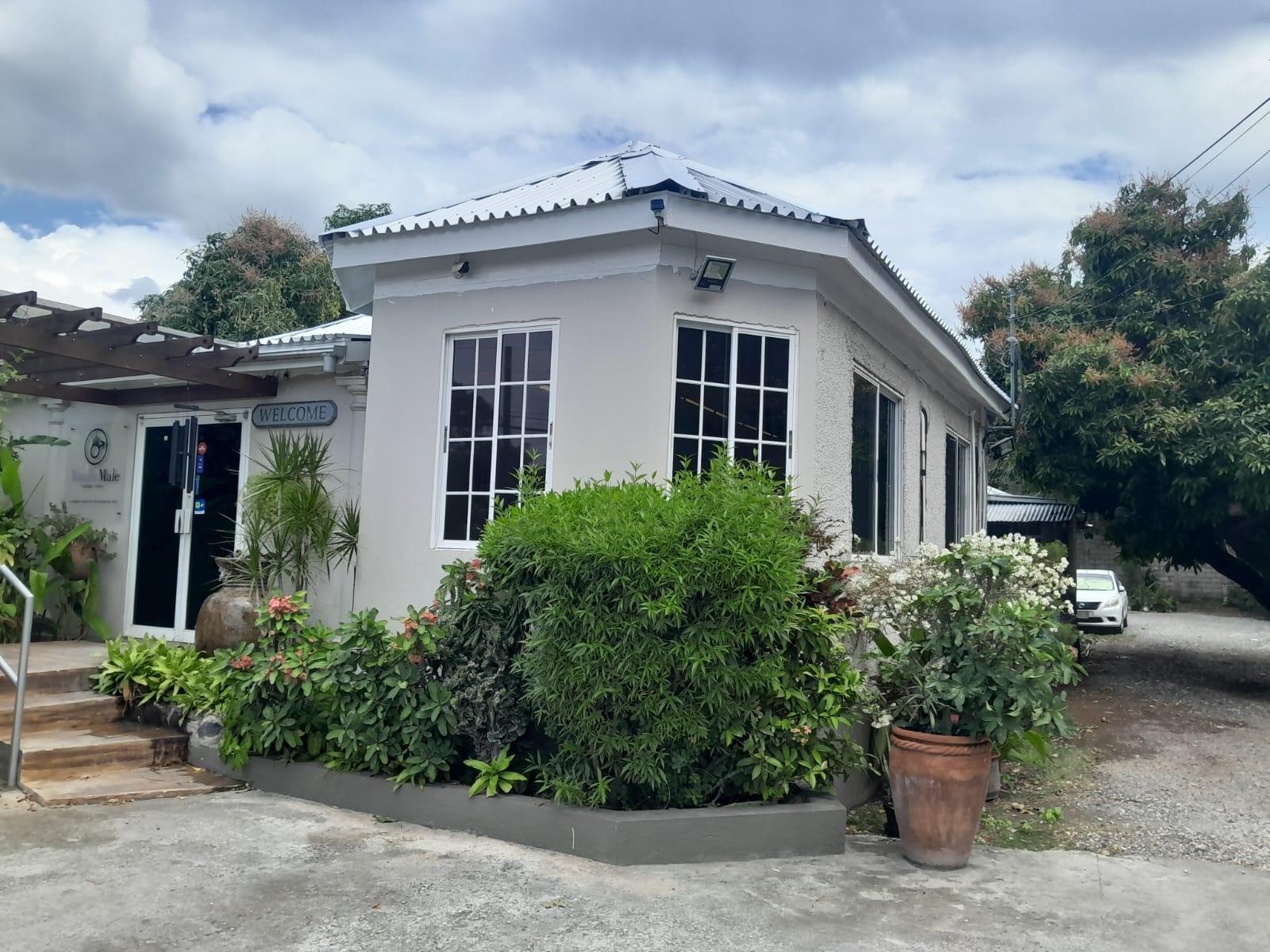 Commercial-Property-for-Rent-at-7-Windsor-Avenue-Kingston-Jamaica-3000-sq.-ft.-SpaOffice-Space Fourth image of 7 Windsor Avenue, Kingston in Kingston 5, St. Andrew, Jamaica - property is For Rent