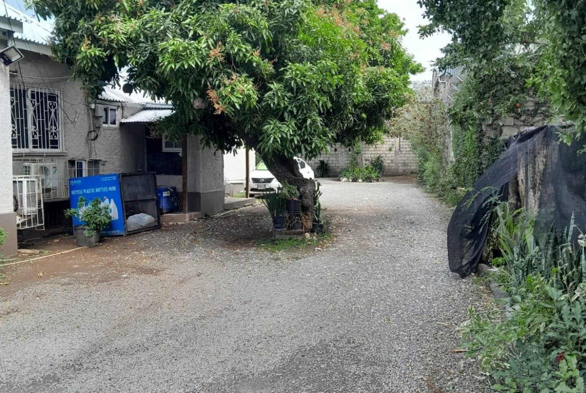 Sixth image of 7 Windsor Avenue, Kingston in Kingston 5, St. Andrew, Jamaica - property is For Rent