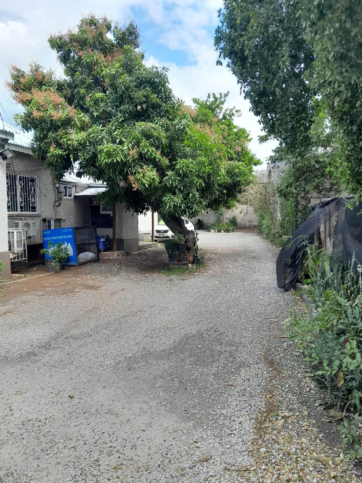 Commercial-Property-for-Rent-at-7-Windsor-Avenue-Kingston-Jamaica-3000-sq.-ft.-SpaOffice-Space Sixth image of 7 Windsor Avenue, Kingston in Kingston 5, St. Andrew, Jamaica - property is For Rent