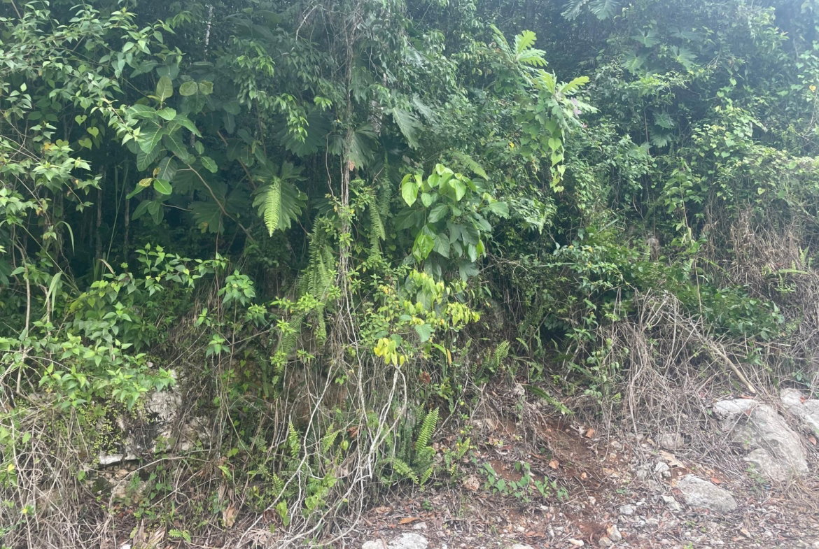 First image of Lot 1 Coopers Hill in Red Hills, St. Andrew, Jamaica - property is For Sale