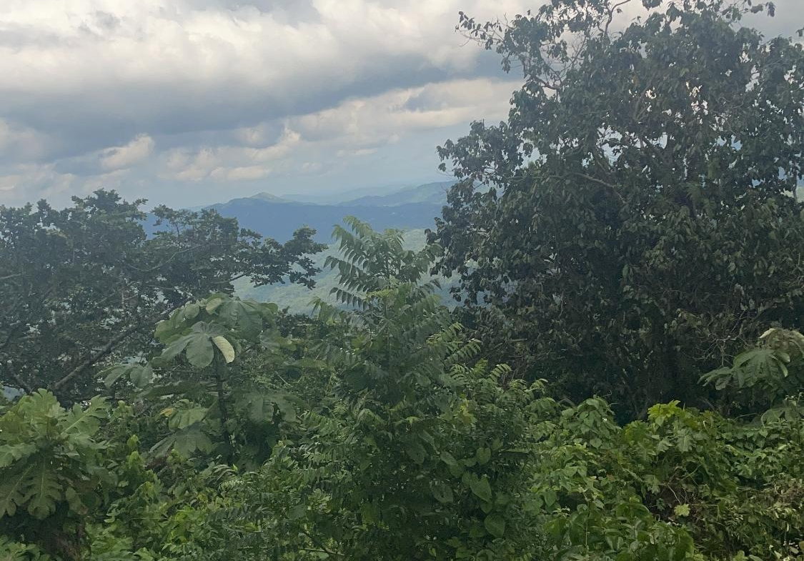 Fifth image of Lot 1 Coopers Hill in Red Hills, St. Andrew, Jamaica - property is For Sale