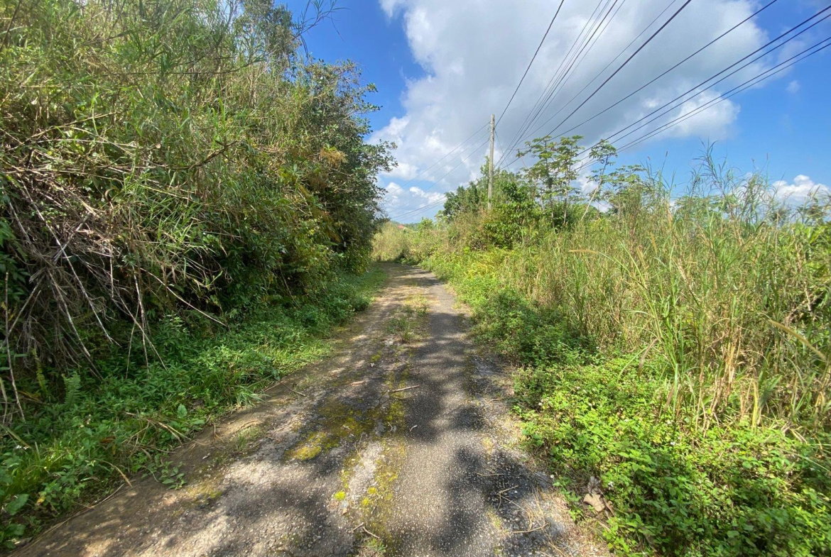 Second image of Coopers Hill in Red Hills, St. Andrew, Jamaica - property is For Sale