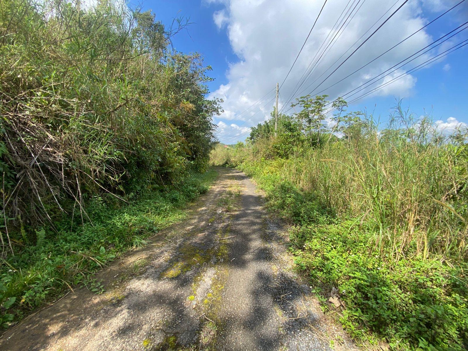 Second image of Coopers Hill in Red Hills, St. Andrew, Jamaica - property is For Sale