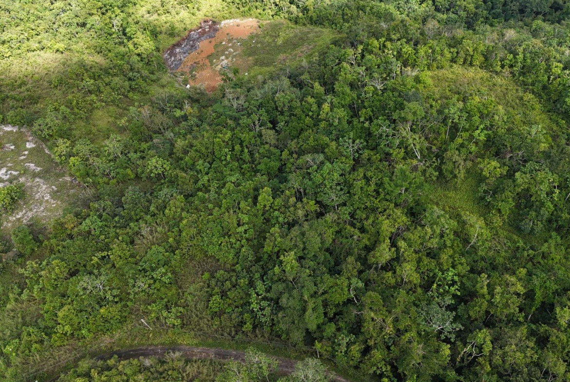 First image of Coopers Hill in Red Hills, St. Andrew, Jamaica - property is For Sale