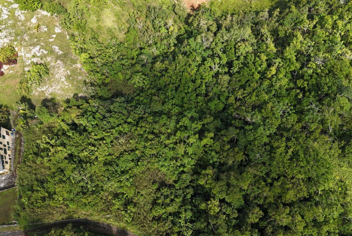 Third image of Coopers Hill in Red Hills, St. Andrew, Jamaica - property is For Sale