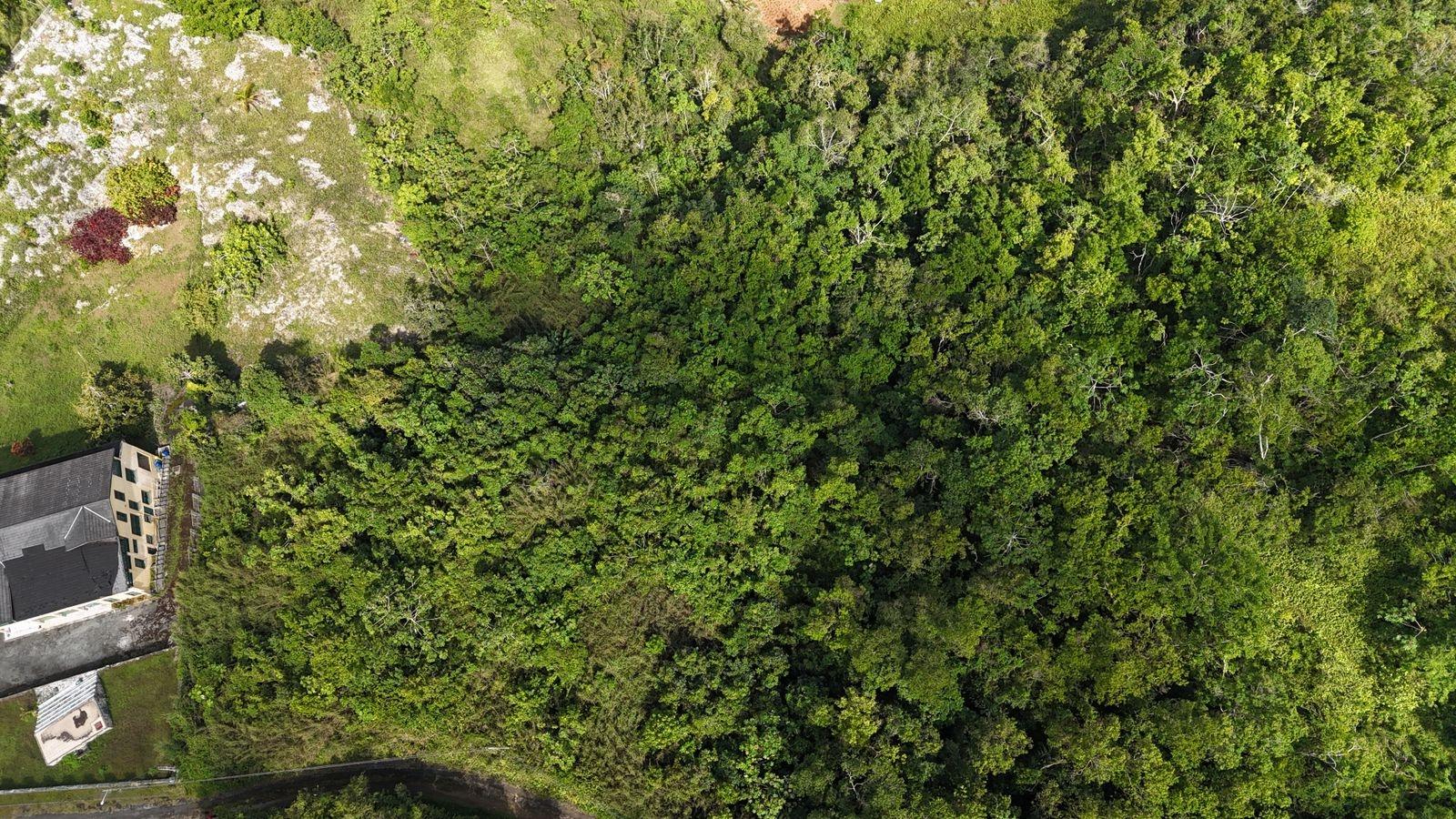 Third image of Coopers Hill in Red Hills, St. Andrew, Jamaica - property is For Sale