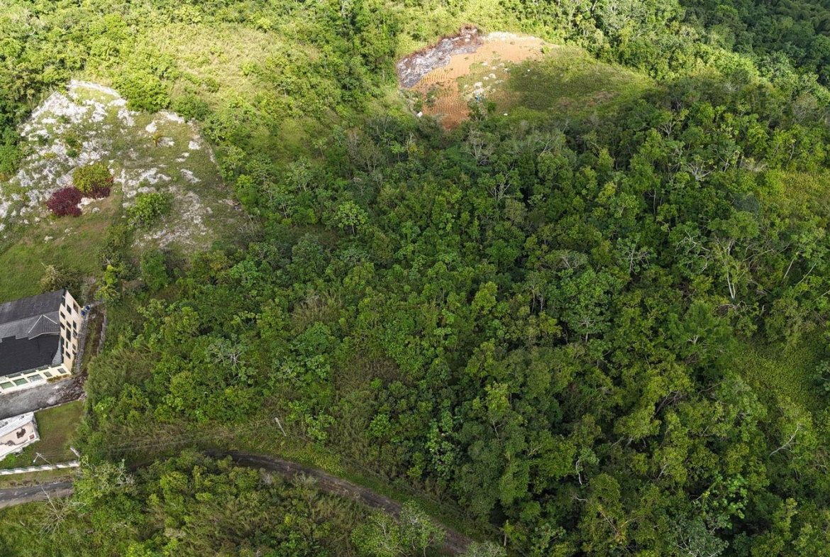 Fourth image of Coopers Hill in Red Hills, St. Andrew, Jamaica - property is For Sale