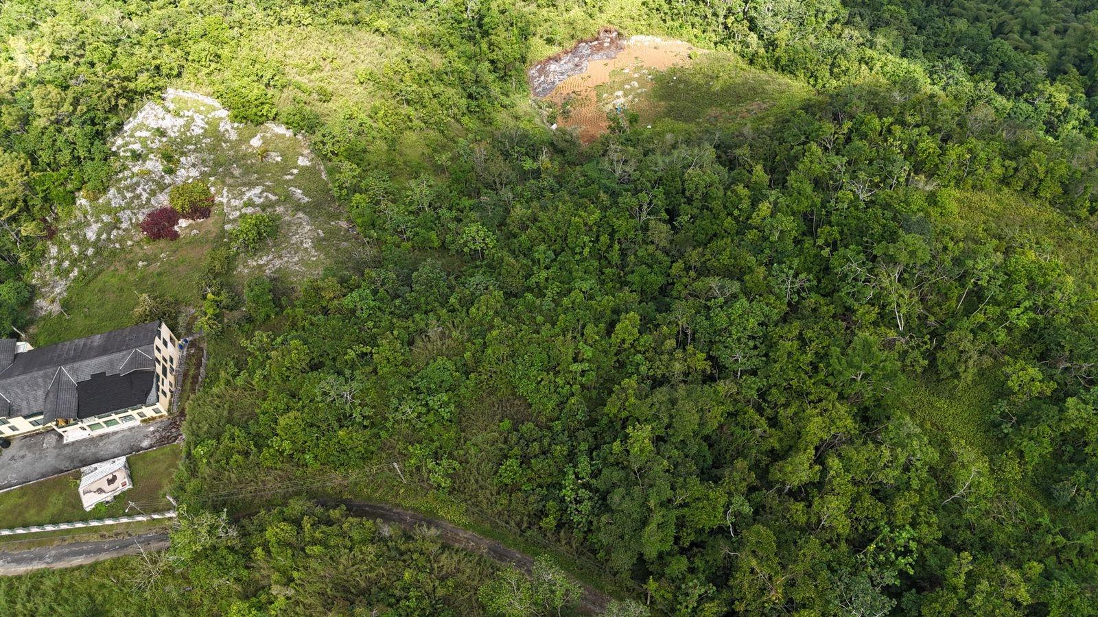 Fourth image of Coopers Hill in Red Hills, St. Andrew, Jamaica - property is For Sale