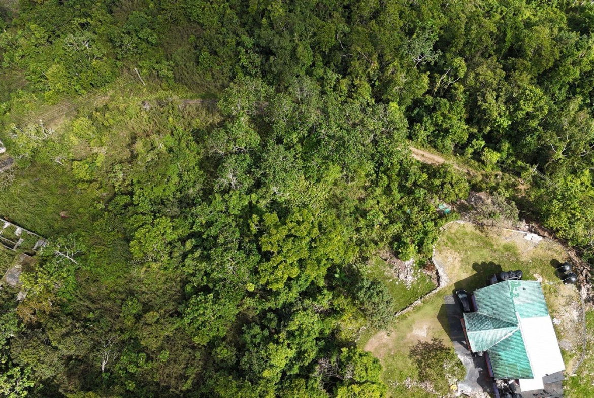 Fifth image of Coopers Hill in Red Hills, St. Andrew, Jamaica - property is For Sale