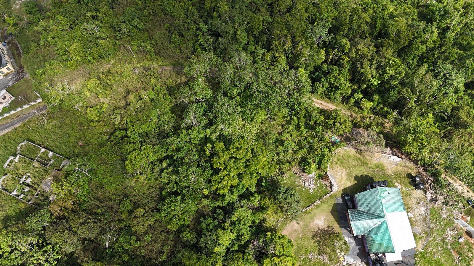 Fifth image of Coopers Hill in Red Hills, St. Andrew, Jamaica - property is For Sale