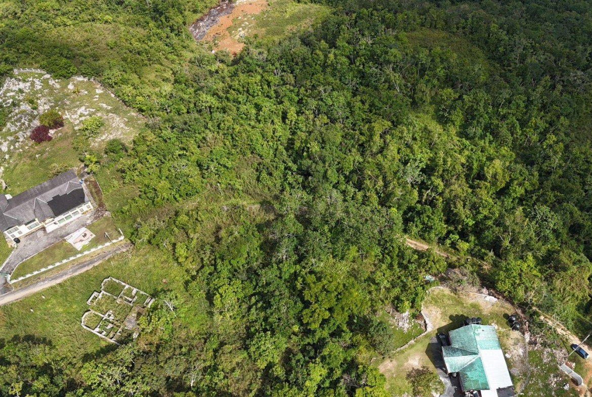 Sixth image of Coopers Hill in Red Hills, St. Andrew, Jamaica - property is For Sale