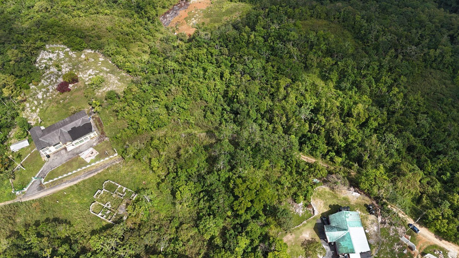 Sixth image of Coopers Hill in Red Hills, St. Andrew, Jamaica - property is For Sale