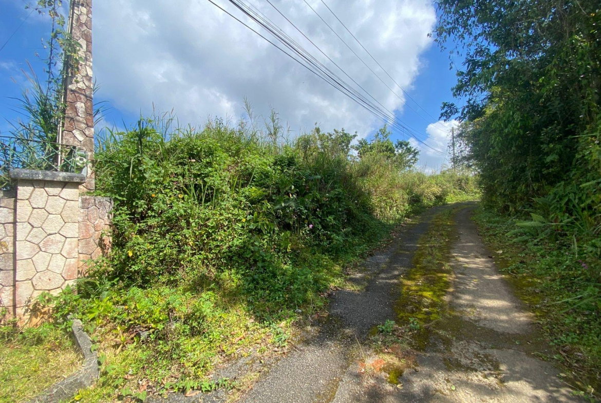 Seventh image of Coopers Hill in Red Hills, St. Andrew, Jamaica - property is For Sale