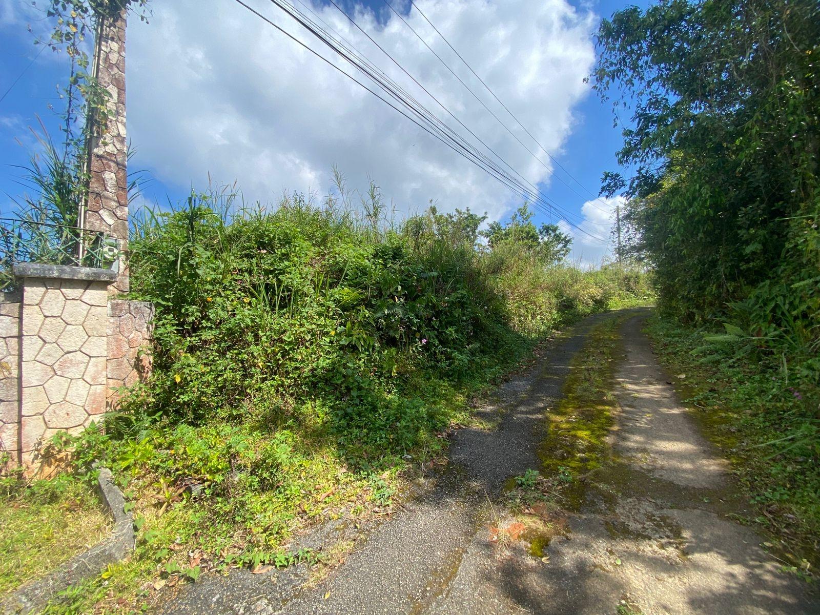 Seventh image of Coopers Hill in Red Hills, St. Andrew, Jamaica - property is For Sale