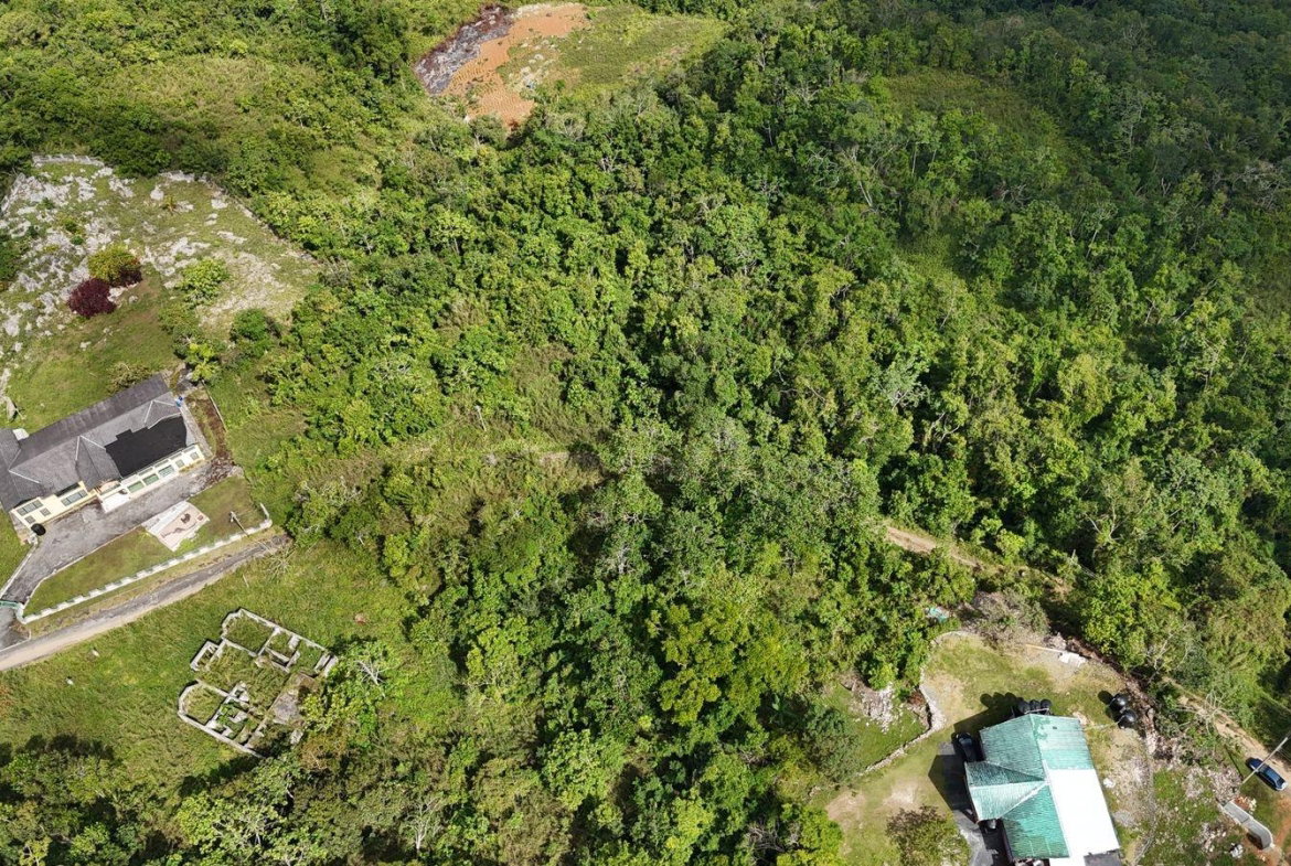 Eighth image of Coopers Hill in Red Hills, St. Andrew, Jamaica - property is For Sale