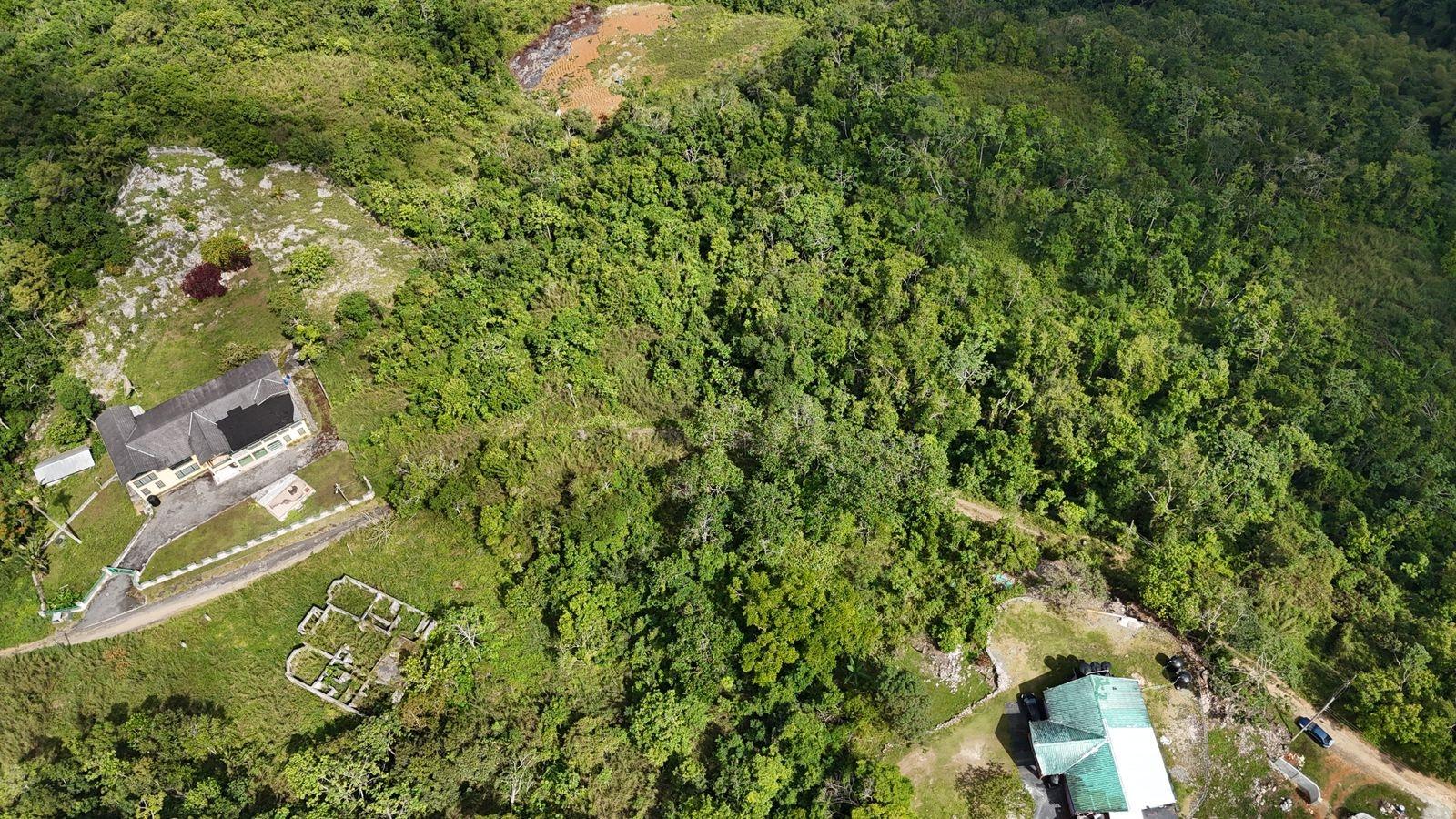 Eighth image of Coopers Hill in Red Hills, St. Andrew, Jamaica - property is For Sale