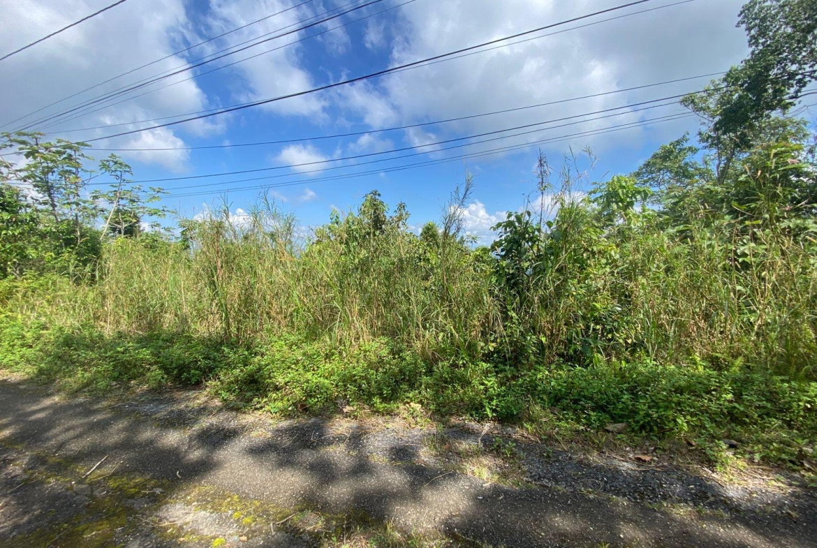 Ninth image of Coopers Hill in Red Hills, St. Andrew, Jamaica - property is For Sale
