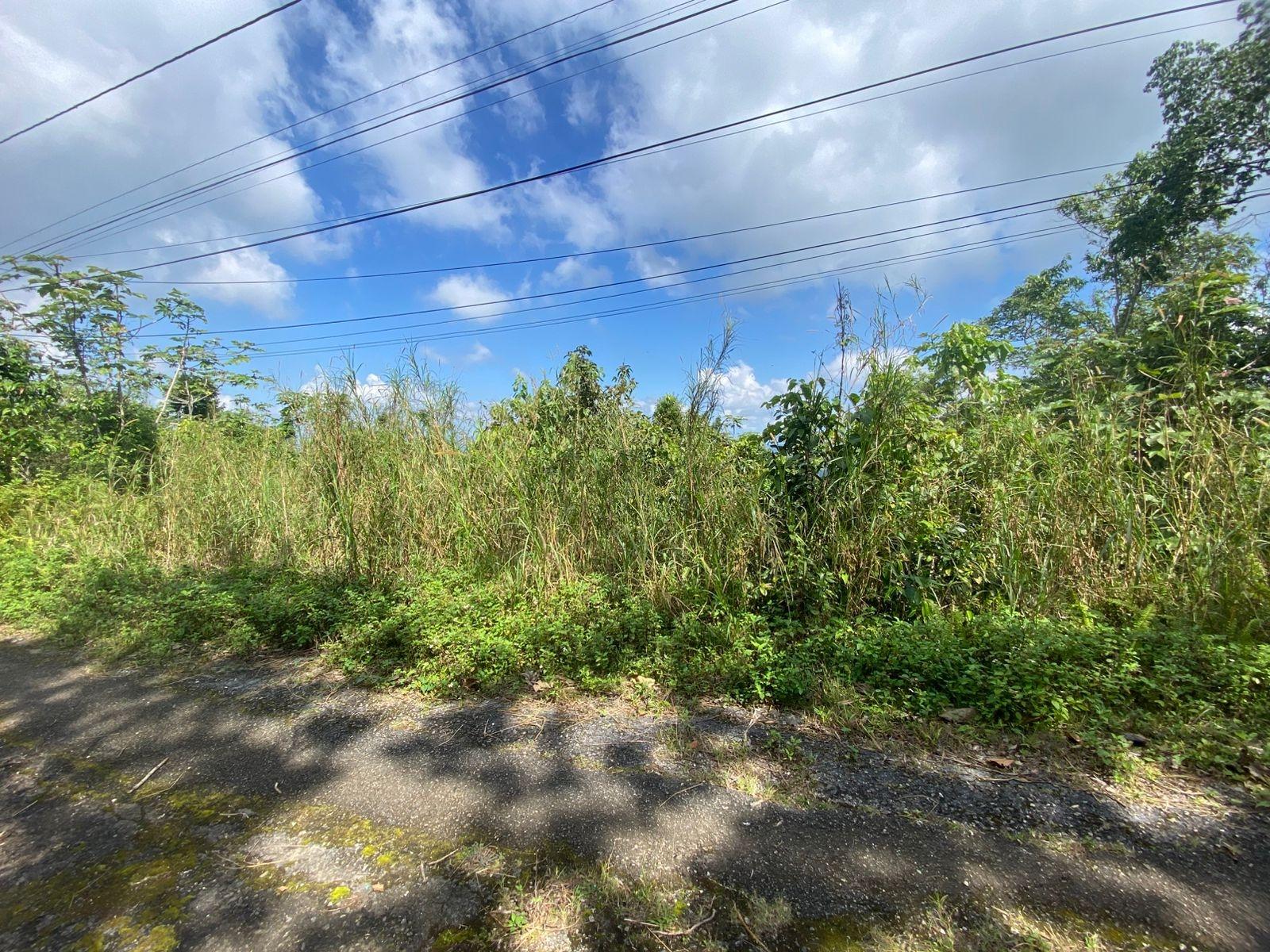 Ninth image of Coopers Hill in Red Hills, St. Andrew, Jamaica - property is For Sale