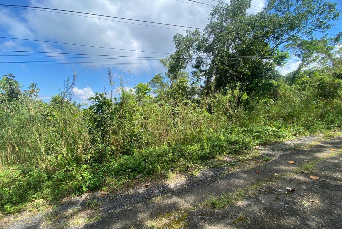 Tenth image of Coopers Hill in Red Hills, St. Andrew, Jamaica - property is For Sale
