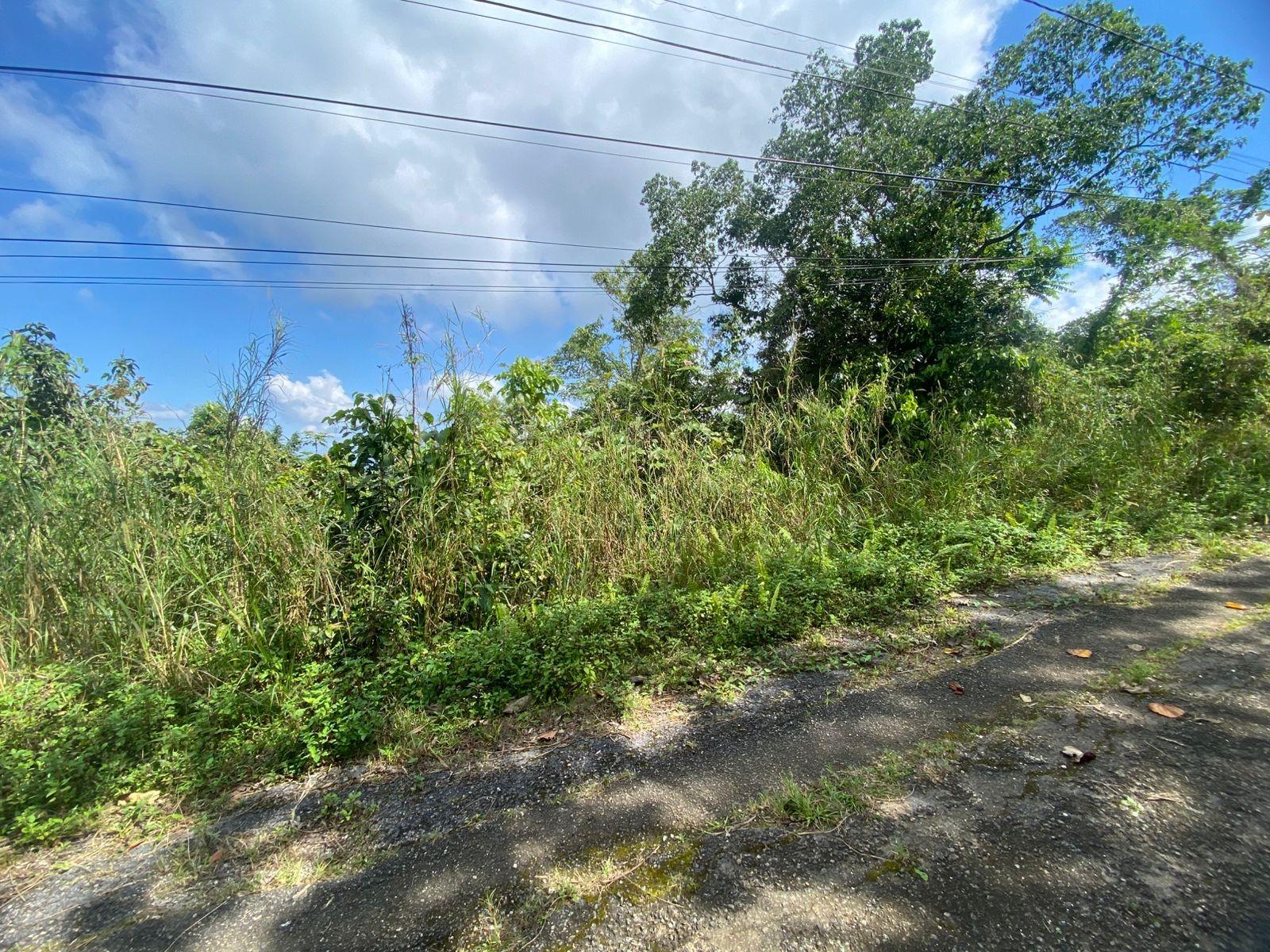 Tenth image of Coopers Hill in Red Hills, St. Andrew, Jamaica - property is For Sale
