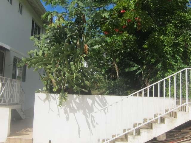 Twenty-Sixth image of Culloden by The Sea in White House WD, Westmoreland, Jamaica - property is For Sale