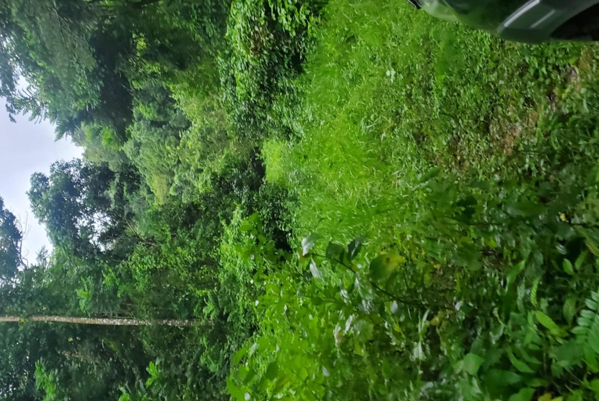 Second image of Arnosvale in Comfort Hall, Manchester, Jamaica - property is For Sale